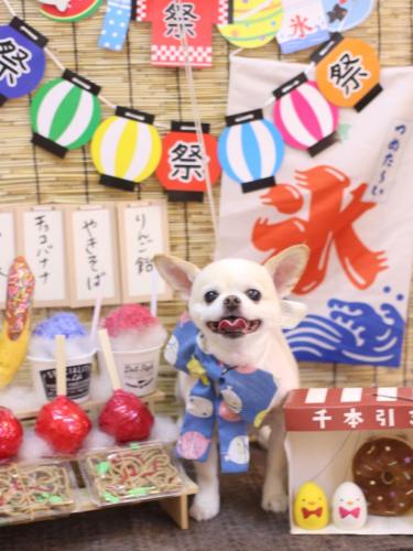 20240712ソックスくん